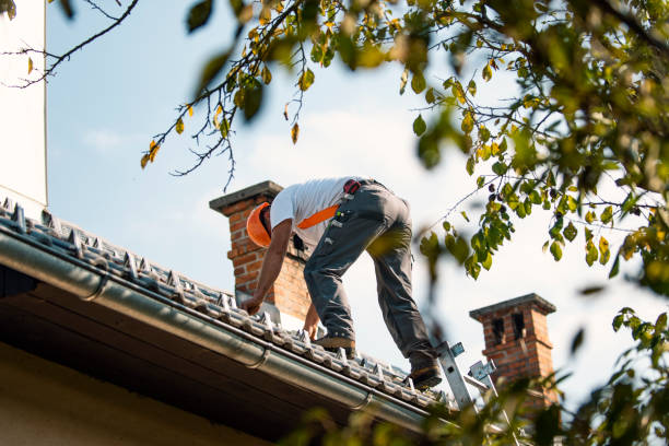Best Storm Damage Roof Repair  in Torrance, CA